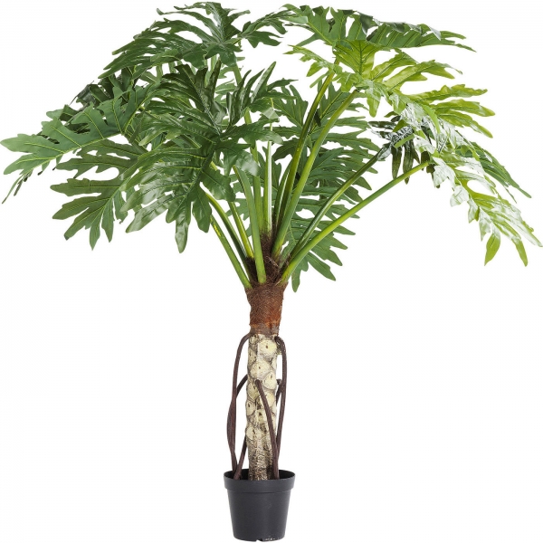 KARE Design Dekorativní rostlina Philodendron Bipinnatifidum 175 cm